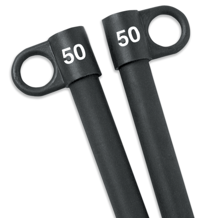 BowFlex Power Rod 100 lb. Upgrade - 310 to 410 lbs.