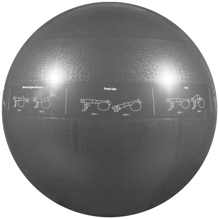 Guide Ball - Pro Grade Stability Ball –